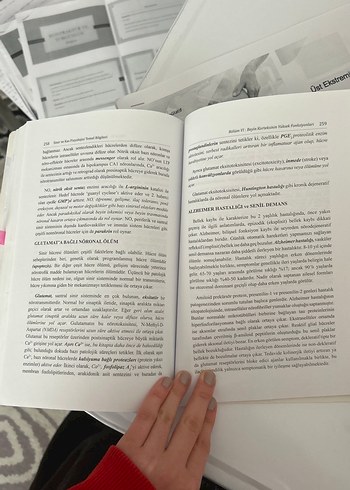 Lamia Pınar Sinir ve Kas Fizyolojisi Temel Bilgileri - Görsel 5