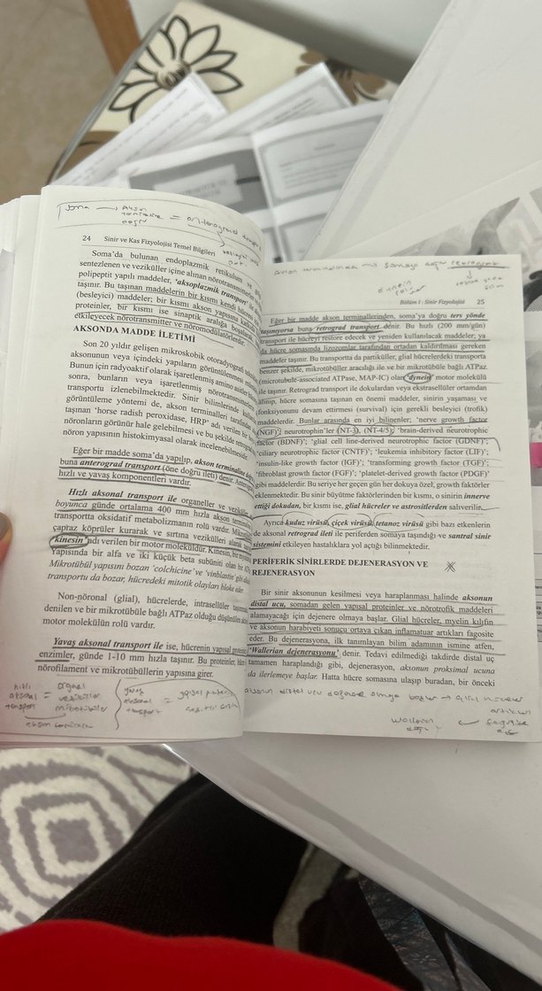 Lamia Pınar Sinir ve Kas Fizyolojisi Temel Bilgileri - Görsel 4