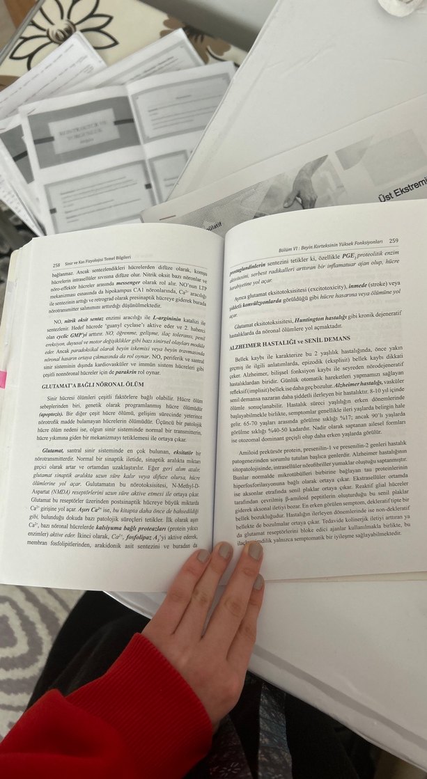 Lamia Pınar Sinir ve Kas Fizyolojisi Temel Bilgileri - Görsel 5