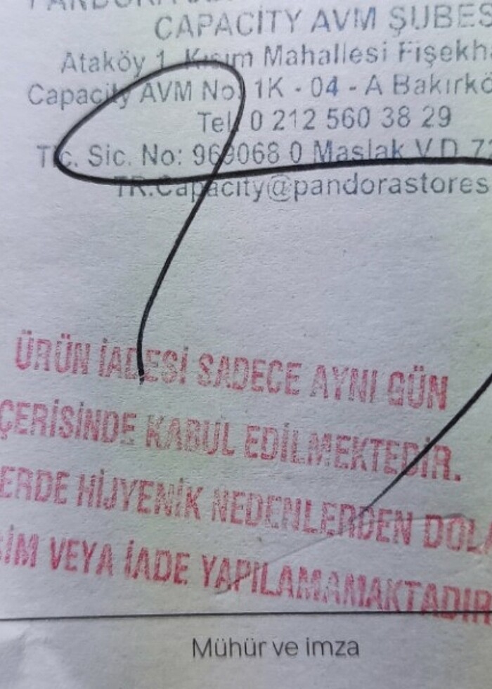 Pandora kelebekli bileklik - Görsel 5