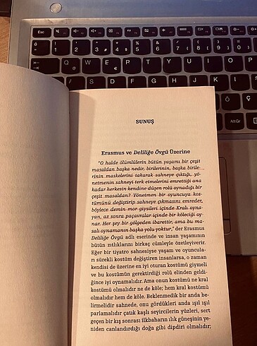 DELİLİĞE ÖVGÜ - Görsel 2