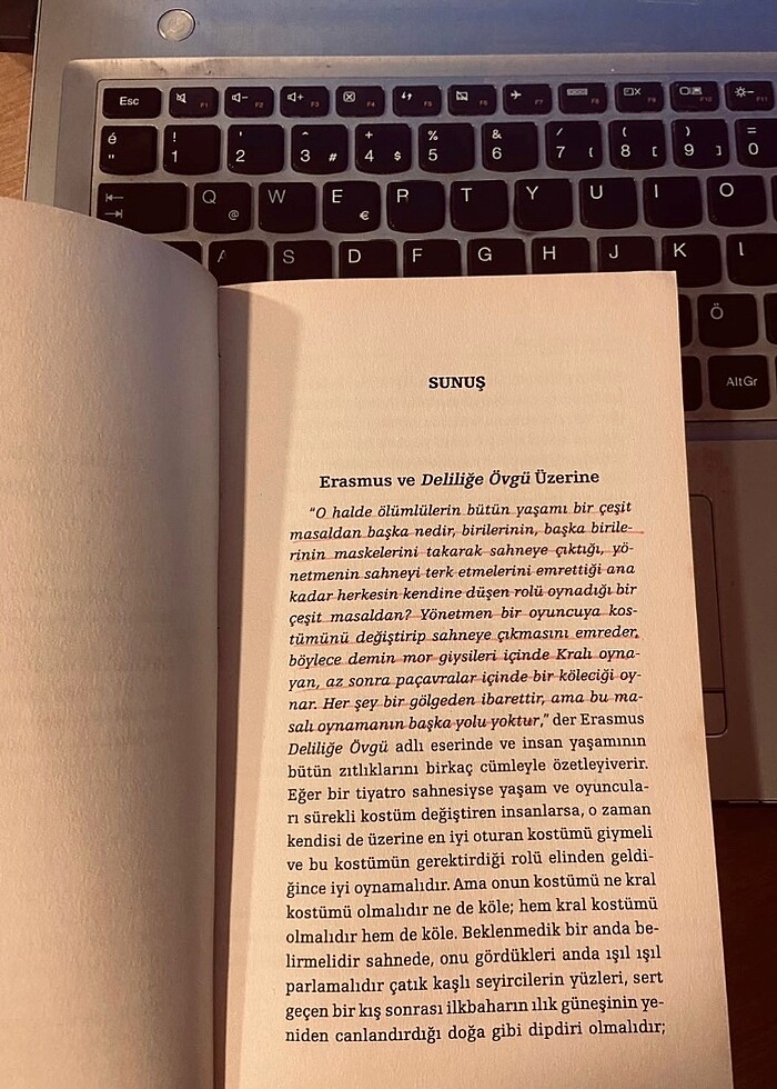 DELİLİĞE ÖVGÜ - Görsel 2