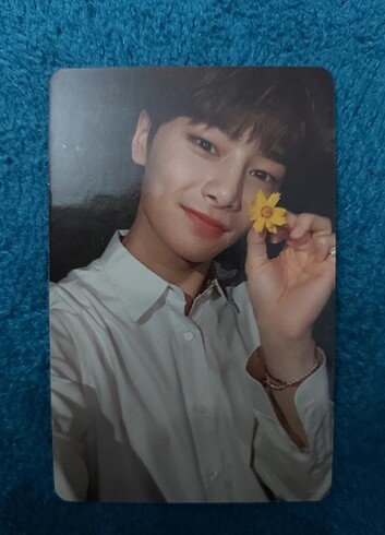 Lim, ds jeongin