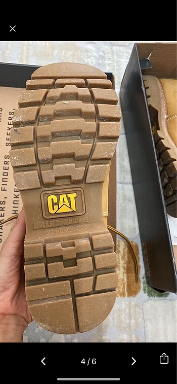 37 Beden Cat bot