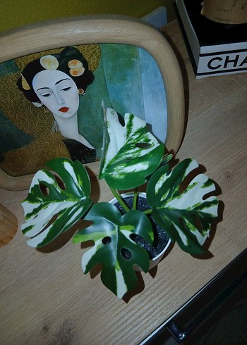 İkea Yapay Deve Tabanı - Görsel 2