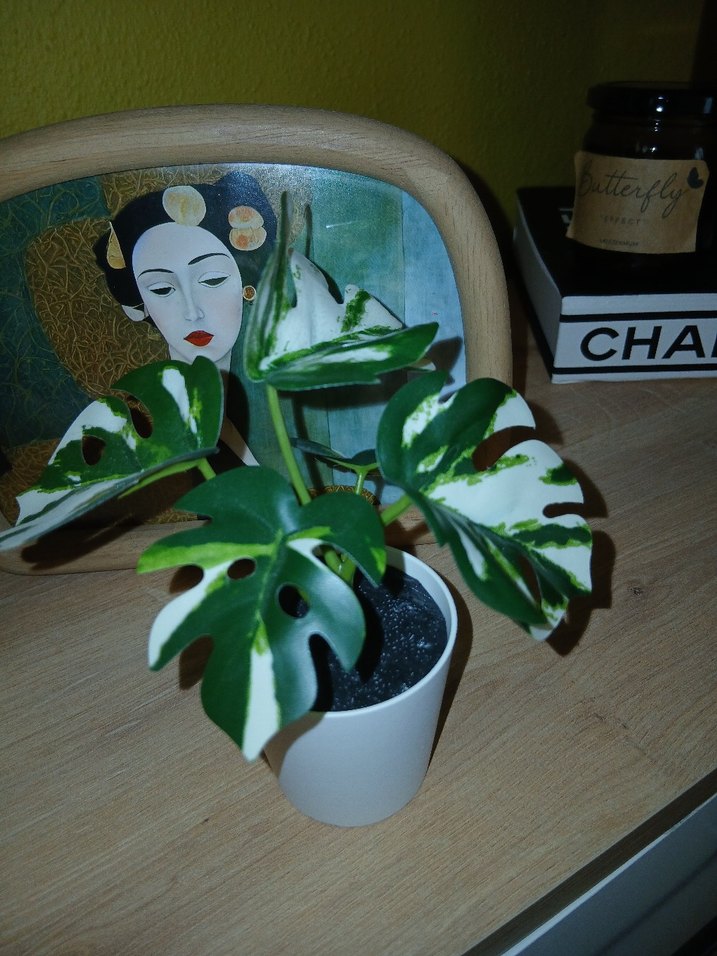 İkea Yapay Deve Tabanı - Görsel 3