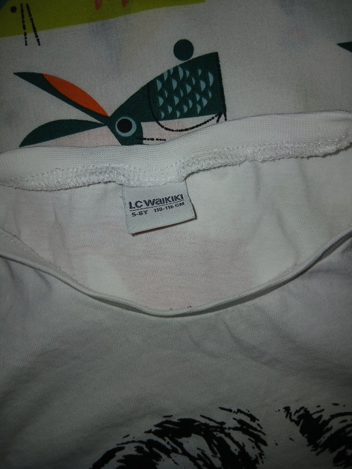 Lcw  Atatürk Baskılı  Tişört - Görsel 2