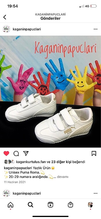 Puma roma