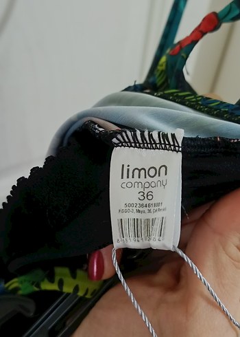 limon company mayo - Görsel 4