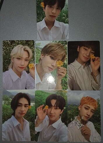 Stray kids noeasy lim ver pc