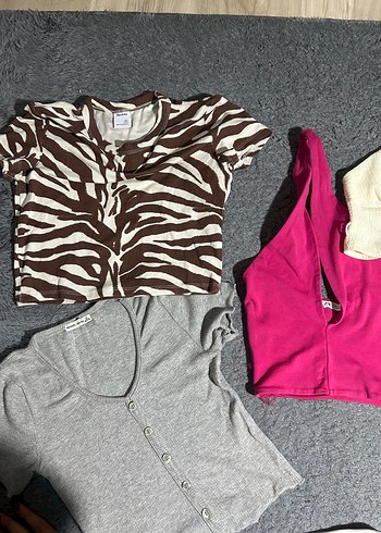 İnditex Croplar - Görsel 3