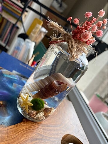 Marimo/Şans Yosunu