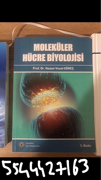 Moleküler Hücre Biyolojisi