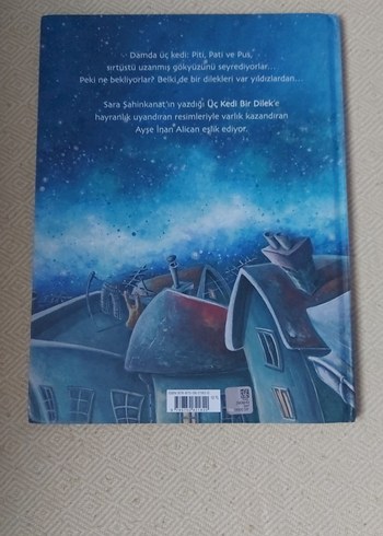 Üç Kedi Bir Dilek - Çocuk Kitabı - Görsel 5