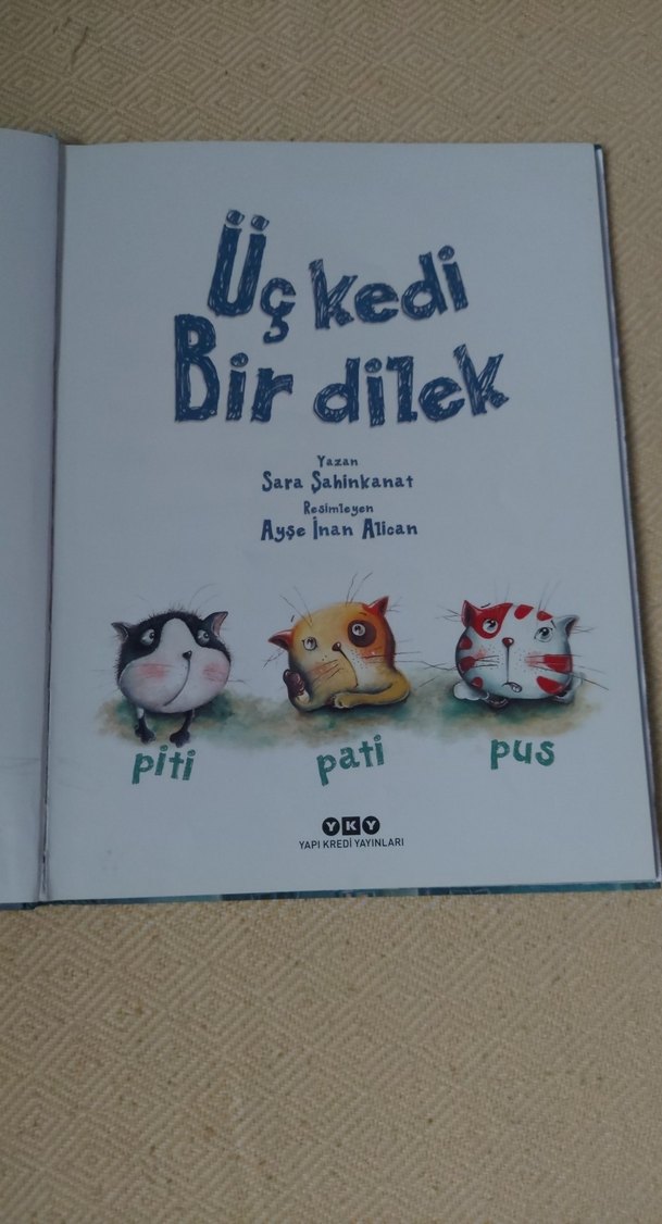Üç Kedi Bir Dilek - Çocuk Kitabı - Görsel 2