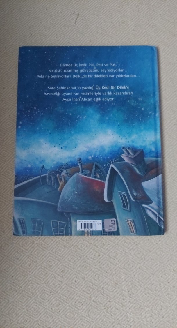 Üç Kedi Bir Dilek - Çocuk Kitabı - Görsel 5