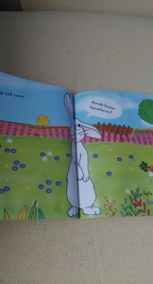 Minikler Serisi Hayvanlar - Nerede Bu Yiyecekler? - Görsel 3