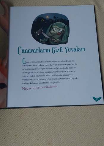 Cesur Çocuklara Korku Hikâyeleri - Vincent Villeminot - Görsel 2