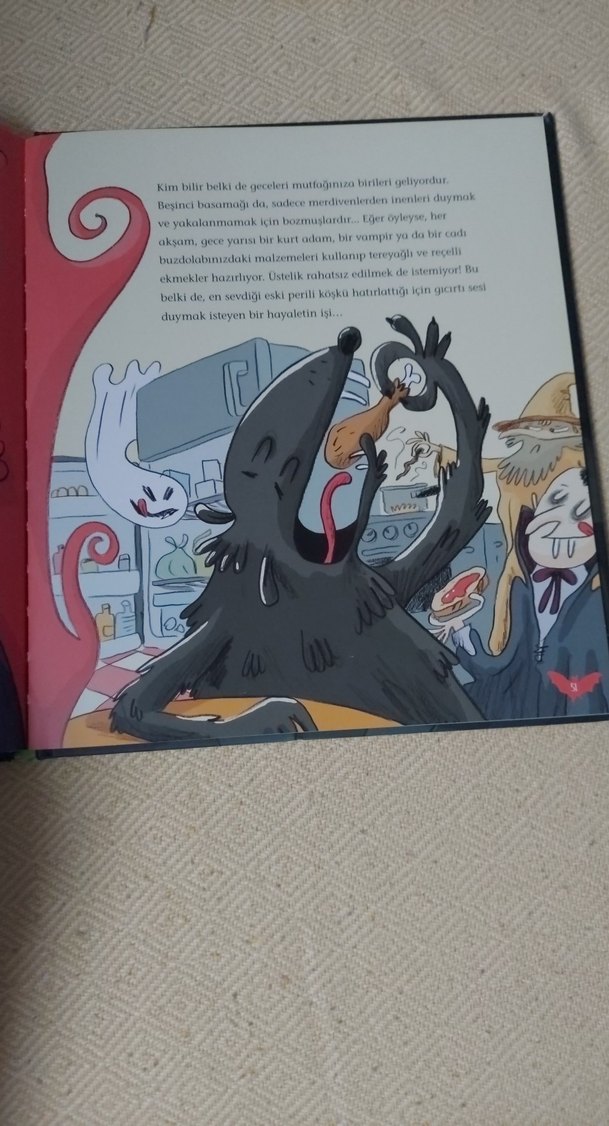 Cesur Çocuklara Korku Hikâyeleri - Vincent Villeminot - Görsel 4