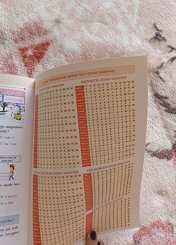  Beden 4. Sınıf kitap