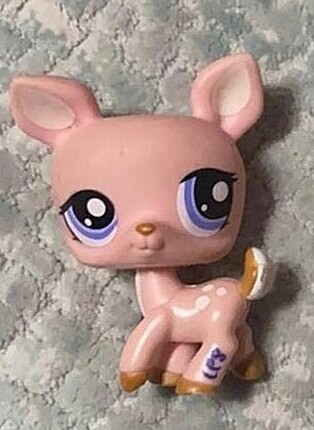 Lps Ceylan miniş