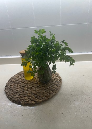 Hasır supla , Amerikan servis - Görsel 4