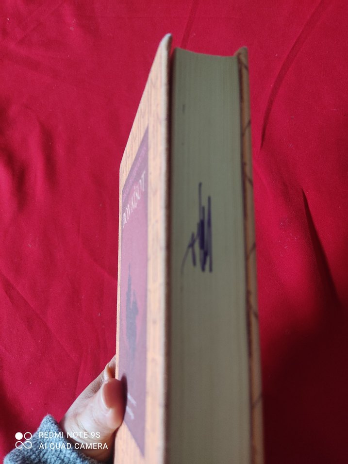 Miguel de Cervantes - Don Kişot Roman - Görsel 2