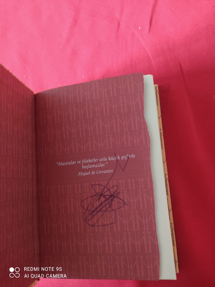 Miguel de Cervantes - Don Kişot Roman - Görsel 3
