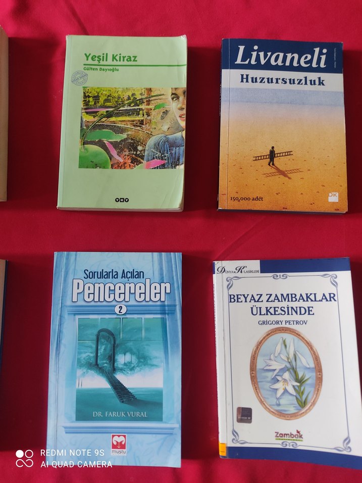 6 Yabancı Dil Kitabı Seti - Görsel 3