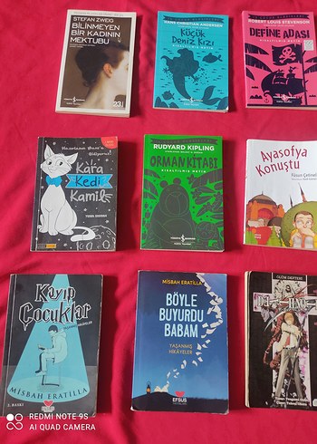 Çocuk ve Gençlik Romanları Seti - Görsel 3