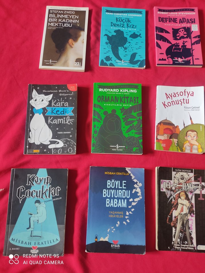 Çocuk ve Gençlik Romanları Seti - Görsel 3