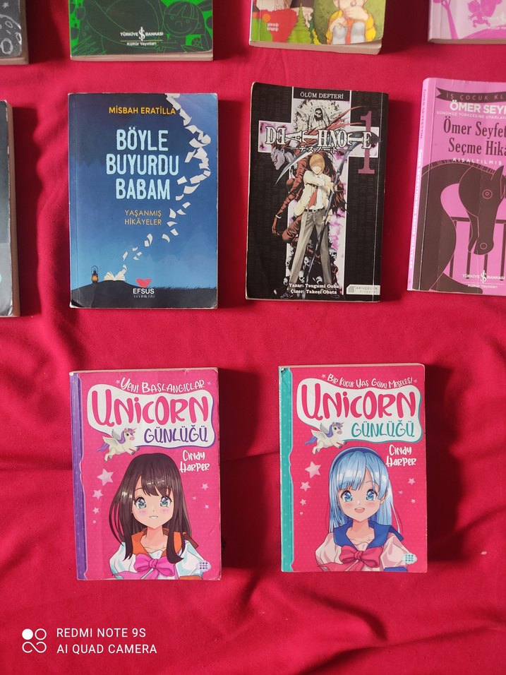 Çocuk ve Gençlik Romanları Seti - Görsel 2