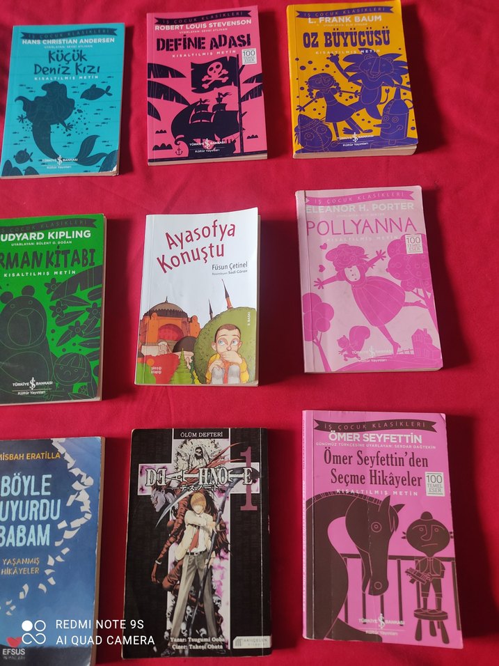 Çocuk ve Gençlik Romanları Seti - Görsel 4