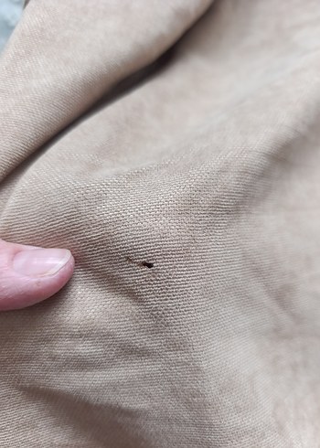 Beden Bej Düz fon perde