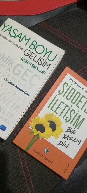 Yaşam Boyu Gelişim Psikolojisi | Şiddetsiz iletişim 