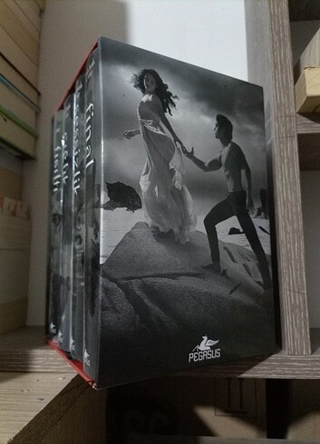 Becca Fitzpatrick HUSH, HUSH Serisi 