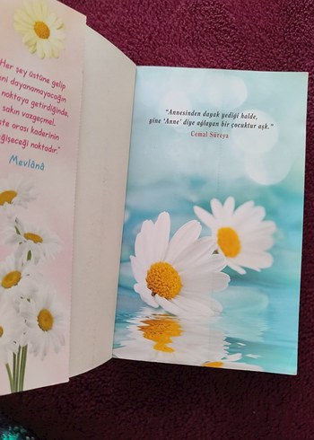 Papatya Kokulu Hikayeler - Yakamoz - Görsel 2