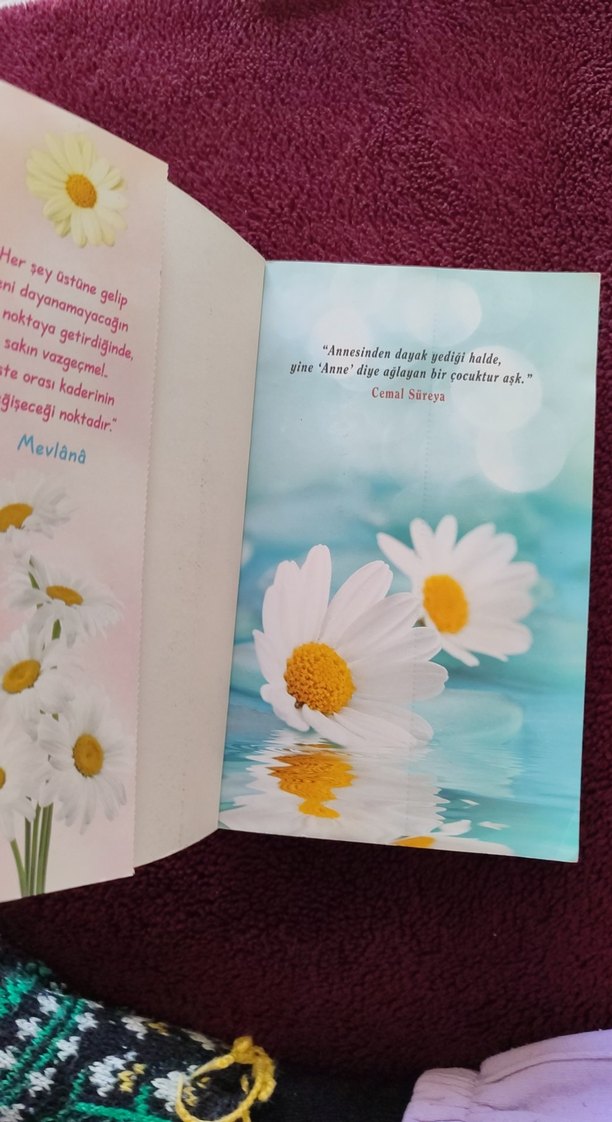 Papatya Kokulu Hikayeler - Yakamoz - Görsel 2