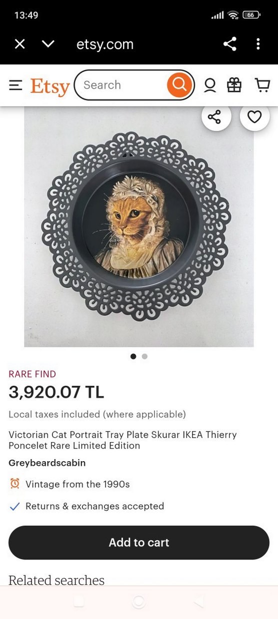 ikea victorya skurar kedi portresi - Görsel 5