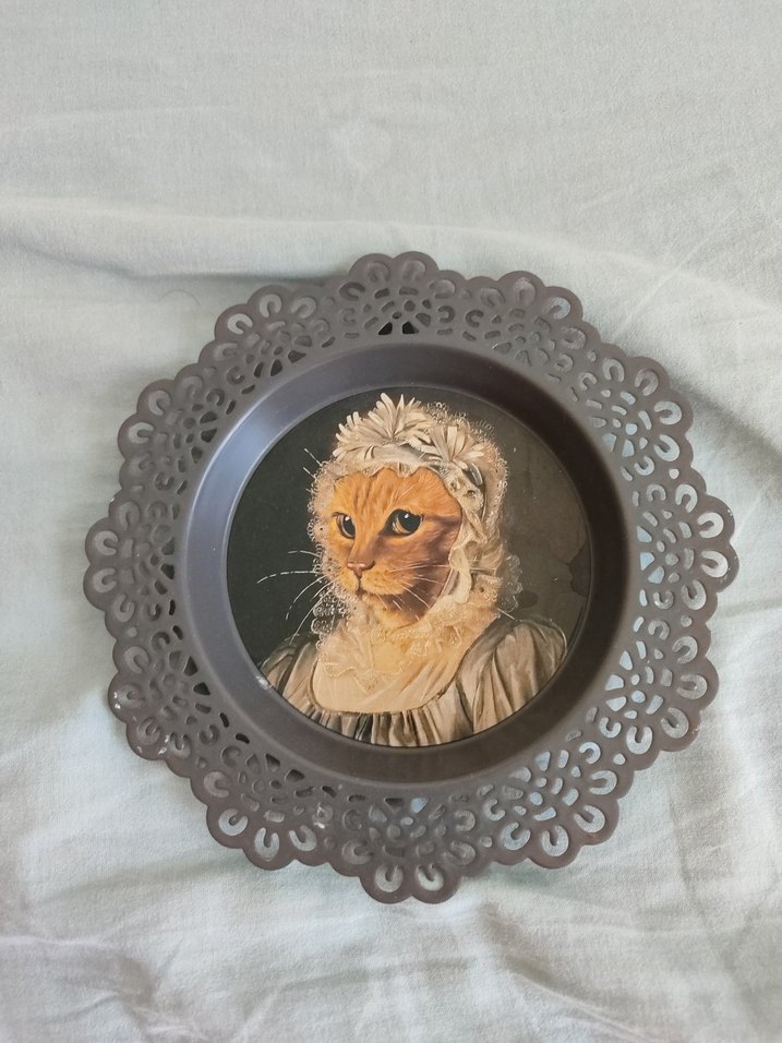 ikea victorya skurar kedi portresi - Görsel 4