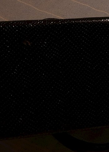 Klasik Siyah Parlak Yılan Desenli Deri Çanta - Görsel 9