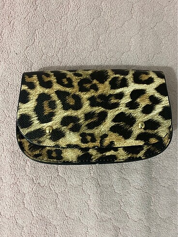 leopar canta