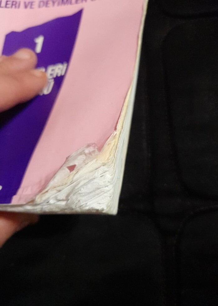 Ömer Asım Aksoy Atasözleri ve deyimler - Görsel 4