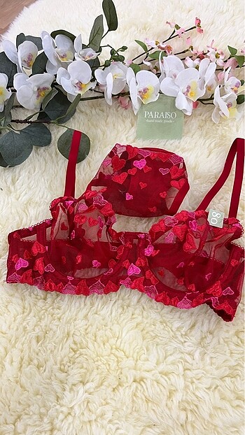 Angeline - Red&Pink Heart Bra set