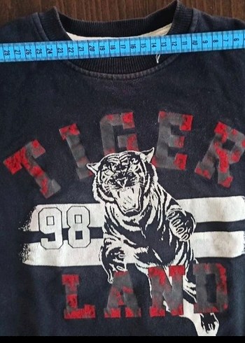 Kapüşonsuz Erkek Sweatshirt, Uzun Kollu, Baskılı - Görsel 2