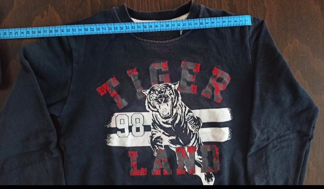 Kapüşonsuz Erkek Sweatshirt, Uzun Kollu, Baskılı - Görsel 2