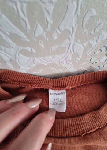 Erkek Çocuk Kırmızı Baskılı Sweatshirt - Görsel 2