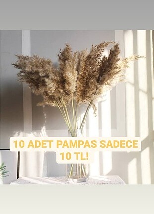 10 ADET PAMPAS SADEDE 10 TL