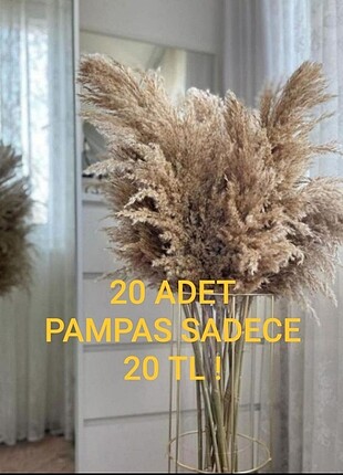 20 adet pampas sadece 20 tl