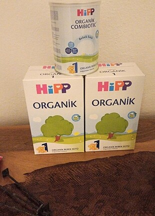 Hipp sevgi kaplan